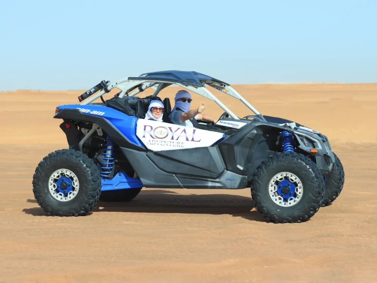 Buggy Adventure