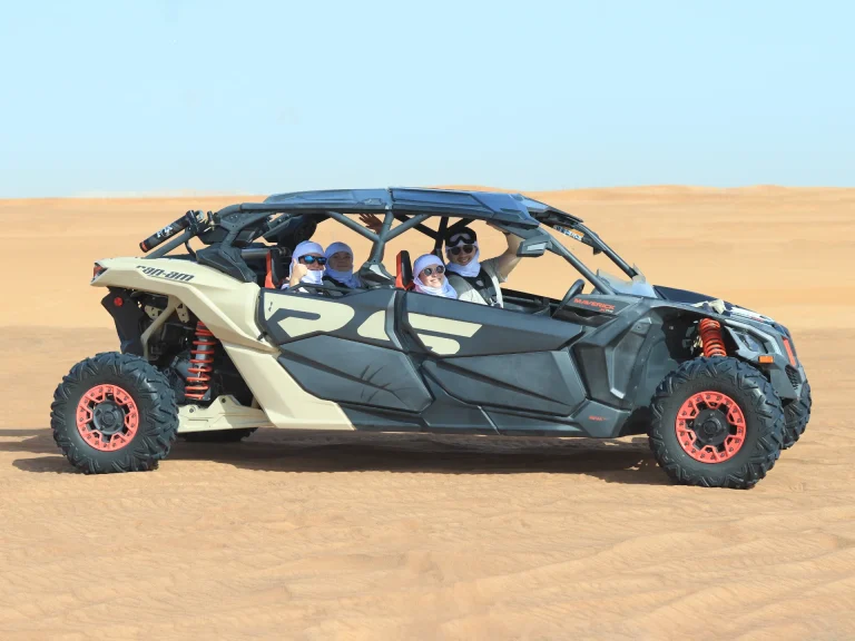 Buggy Adventure